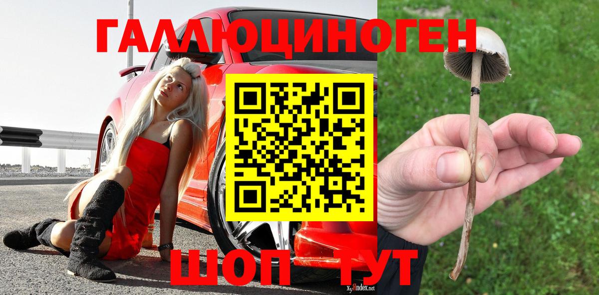 Галлюциногенные грибы Magic Shrooms  Вход с VPN  Солнечногорск  Псилоцибиновые грибы прущие грибы 